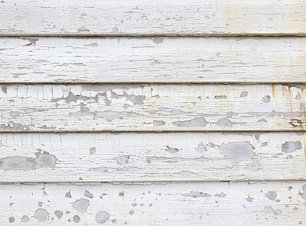 Best Residential Junk Removal  in Langdon, ND